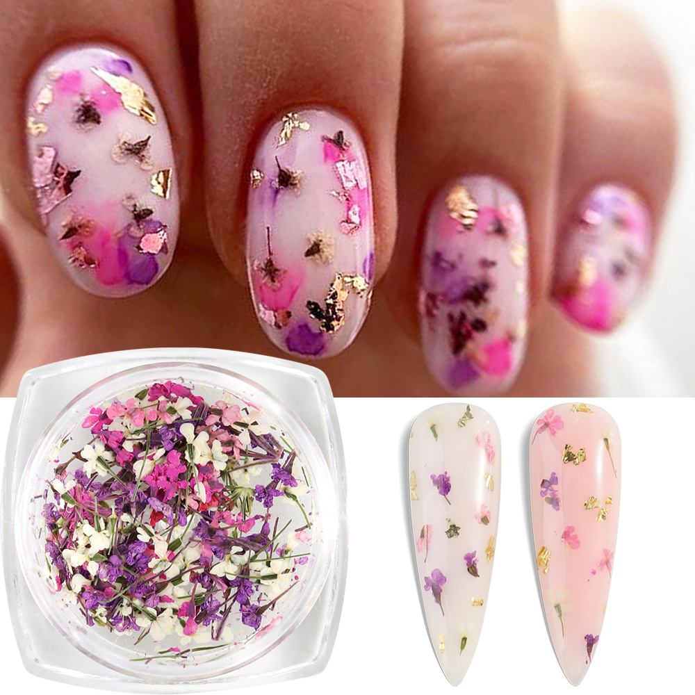 Mixed Colors Gypsophila False  – Dried Flower Bulk Bewertung und Preis