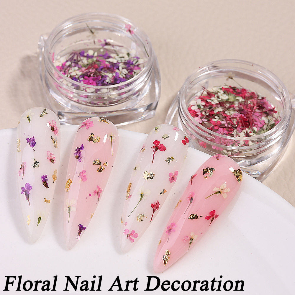 Mixed Colors Gypsophila False  – Dried Flower Bulk Bewertung und Preis