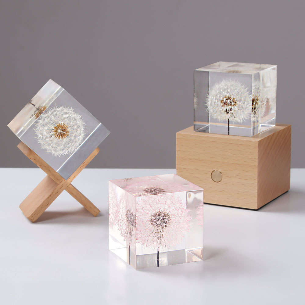 Dandelion preserved fresh flow – Flower Preservation Resin Bewertung und Preis