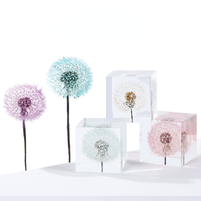 Dandelion preserved fresh flow – Flower Preservation Resin Bewertung und Preis