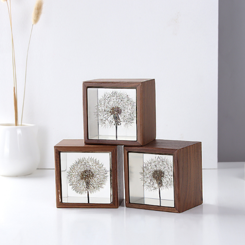 Dandelion preserved fresh flow – Flower Preservation Resin Bewertung und Preis