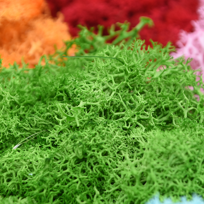 20/40g Artificial Green Plants – Terrarium Moss Art Bewertung und Preis