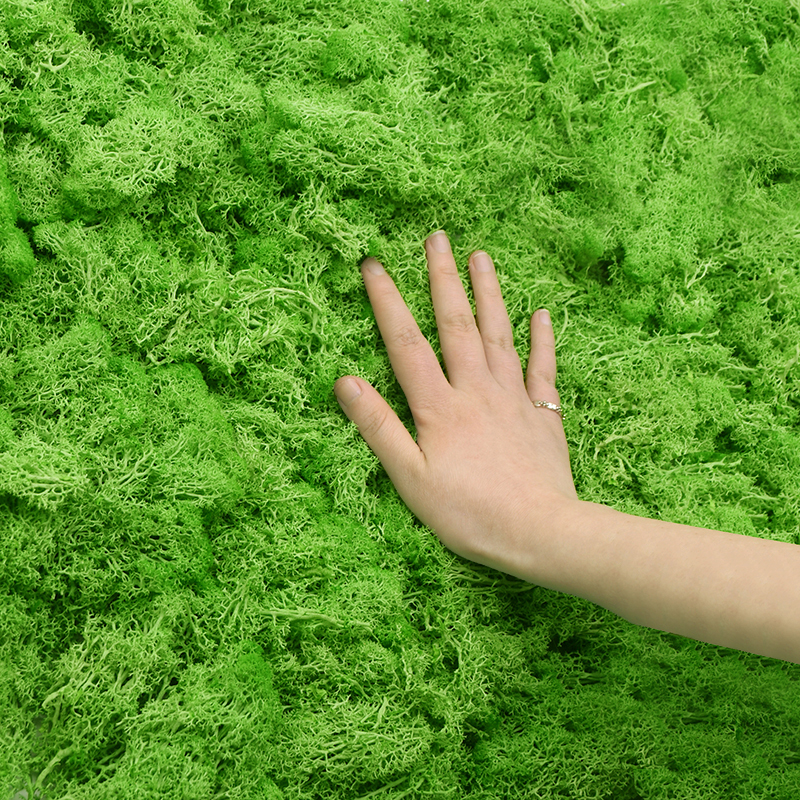 20/40g Artificial Green Plants – Terrarium Moss Art Bewertung und Preis