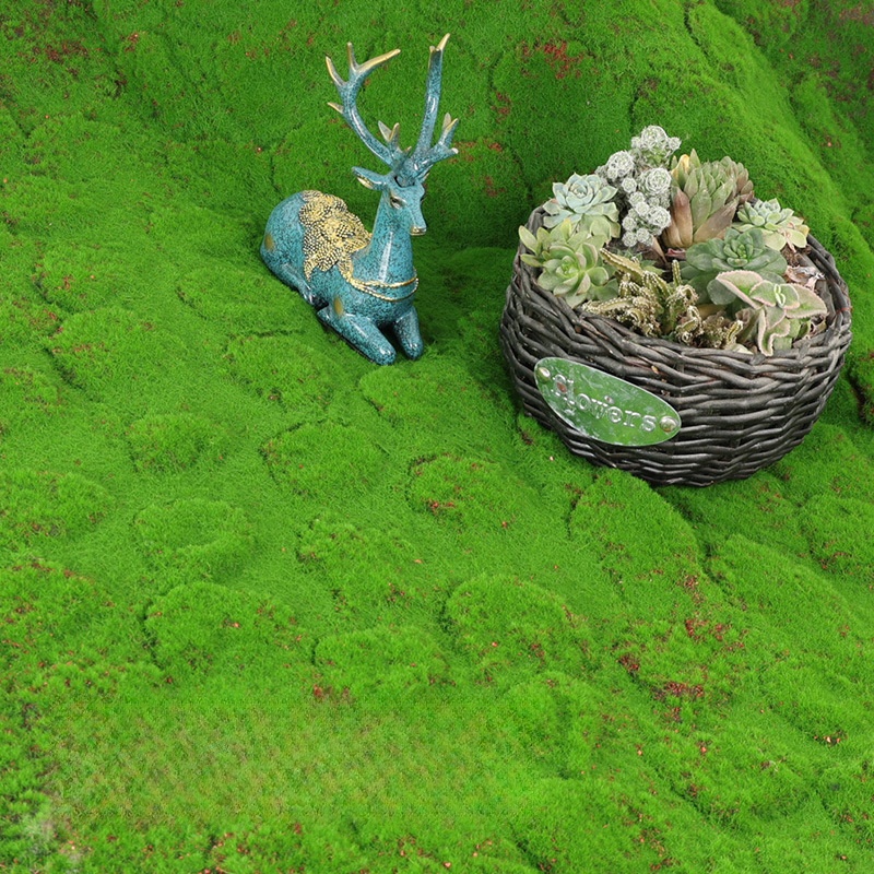Artificial Turf Moss Simulatio – Terrarium Moss Art Bewertung und Preis