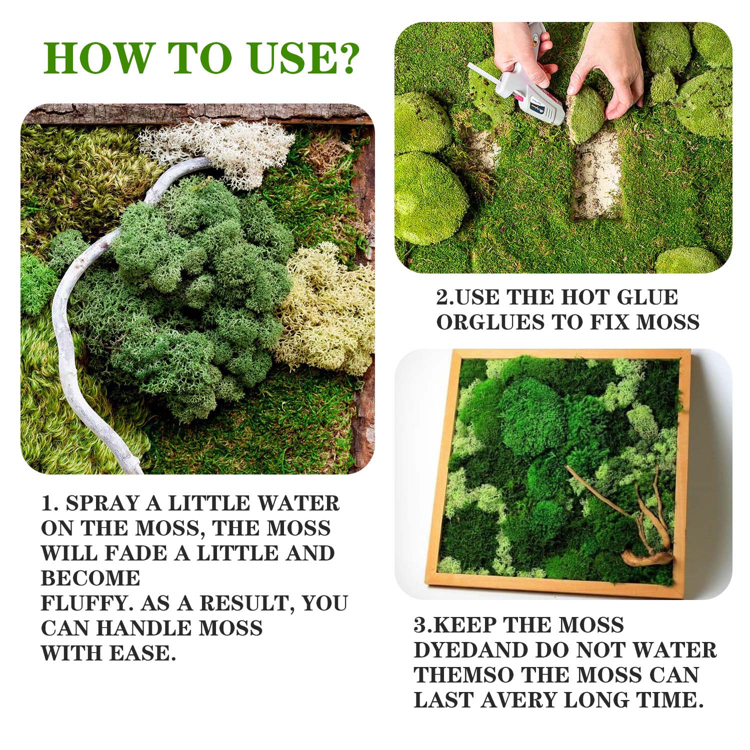 Artificial Green Plants Eterna – Terrarium Moss Art Bewertung und Preis