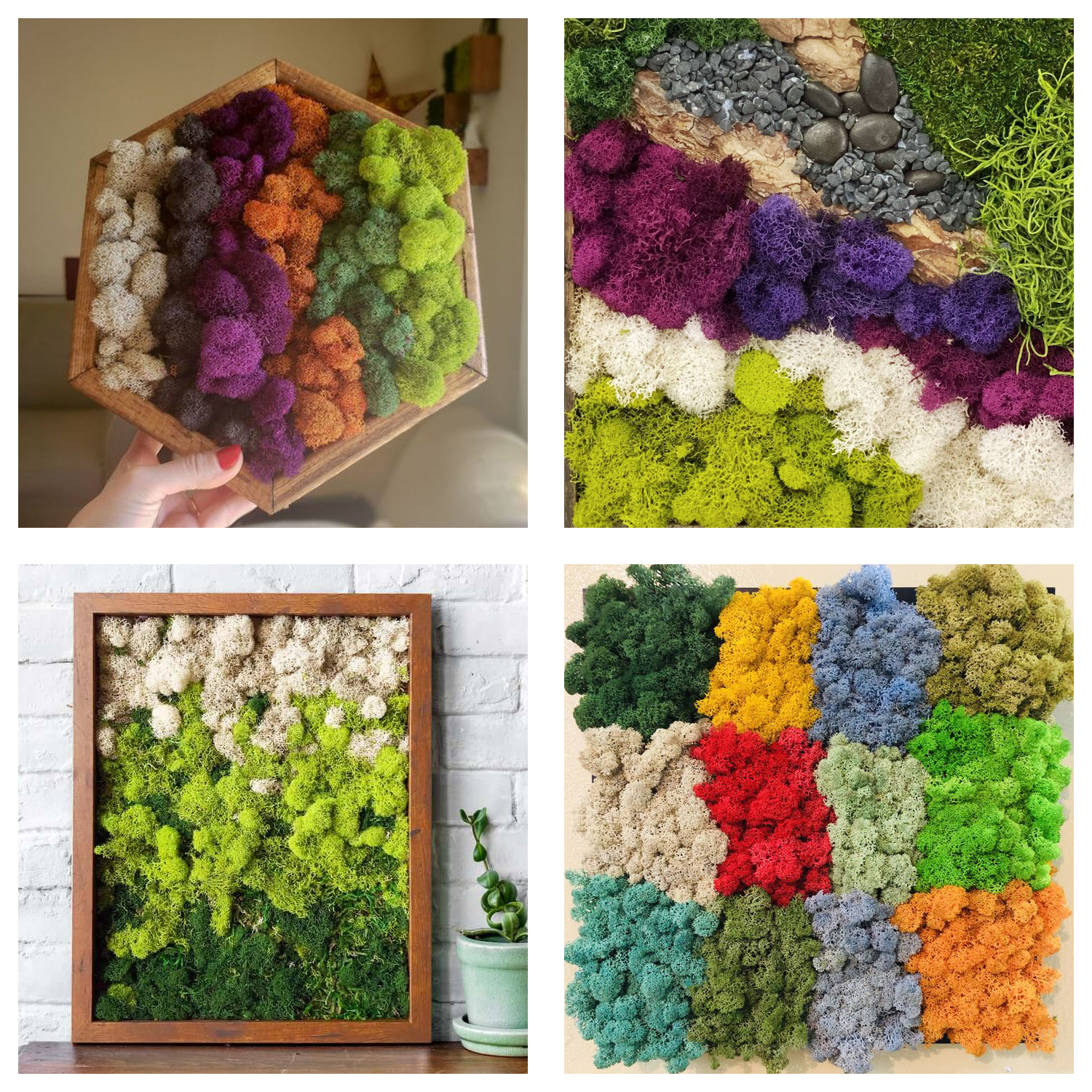 Artificial Green Plants Eterna – Terrarium Moss Art Bewertung und Preis