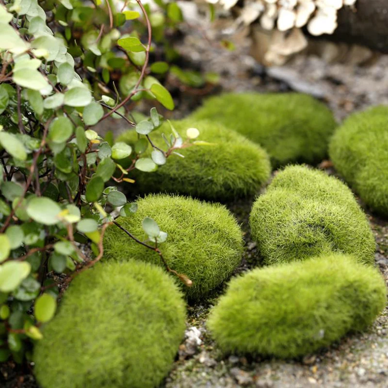 4Pcs Micro Landscape Artificia – Terrarium Moss Art Bewertung und Preis