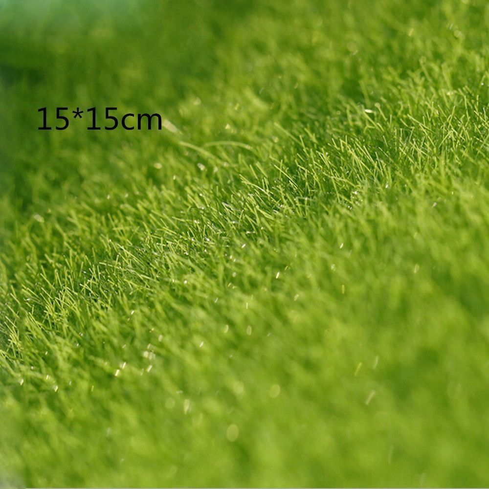 Ecological Lawn Decor Garden O – Terrarium Moss Art Bewertung und Preis