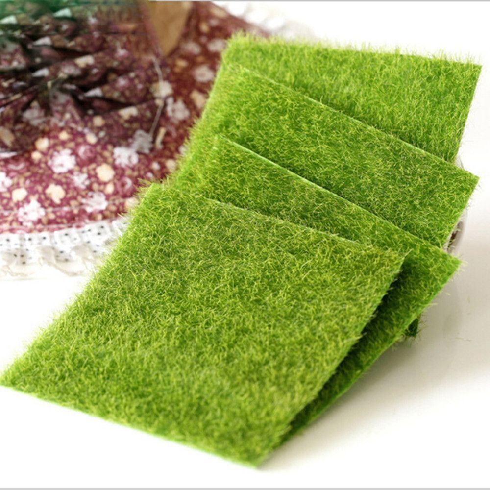 Ecological Lawn Decor Garden O – Terrarium Moss Art Bewertung und Preis