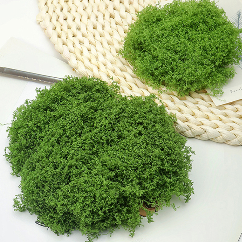 about 20g Artificial Green Pla – Terrarium Moss Art Bewertung und Preis