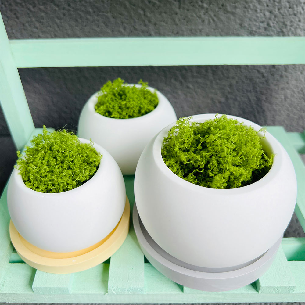 Spherical Flowerpot Silicone M – Serving Tray Mold Bewertung und Preis