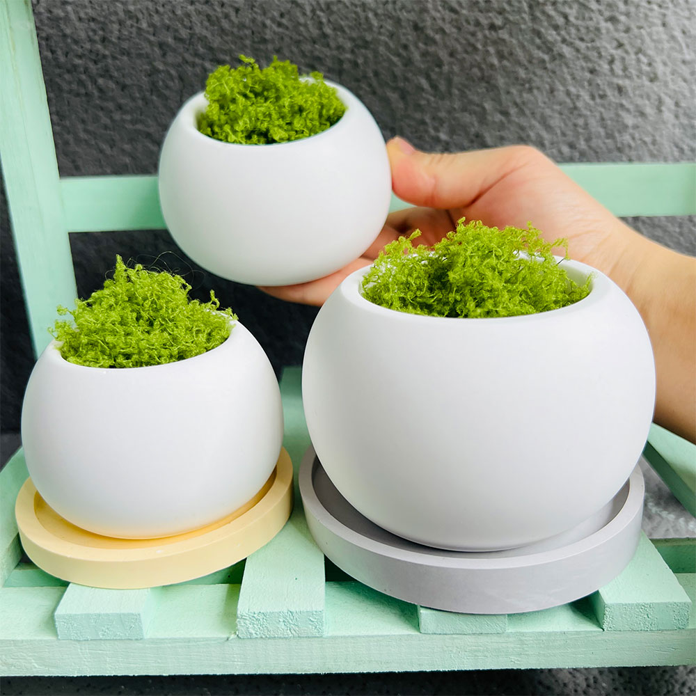 Spherical Flowerpot Silicone M – Serving Tray Mold Bewertung und Preis