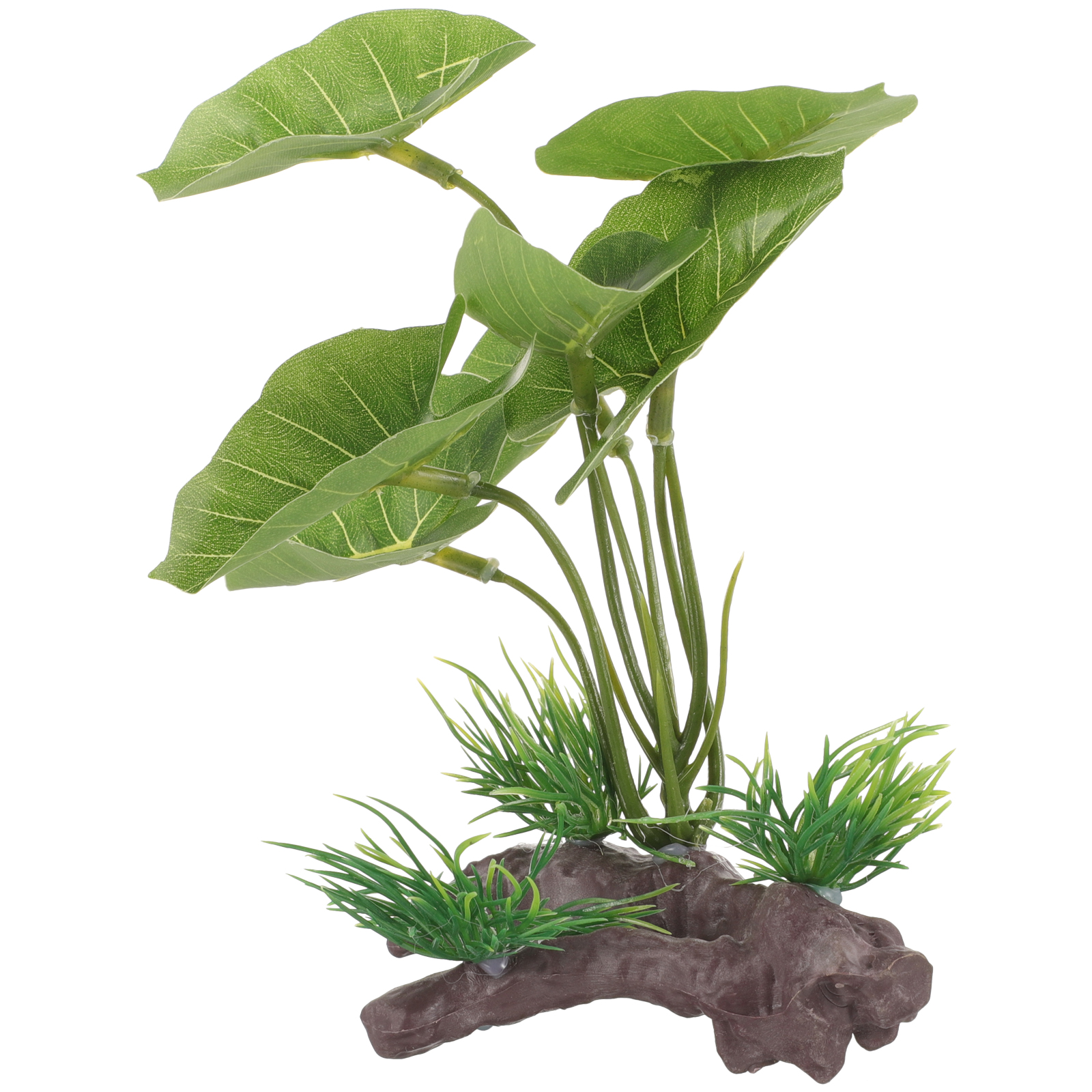 Fish Tank Artificial Water Pla – Terrarium Moss Art Bewertung und Preis