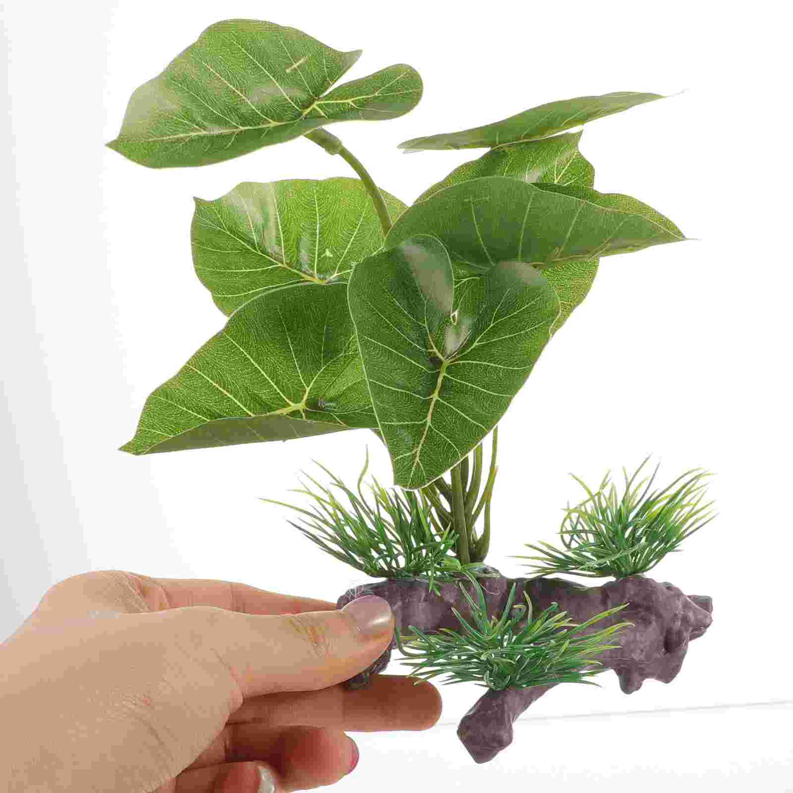 Fish Tank Artificial Water Pla – Terrarium Moss Art Bewertung und Preis