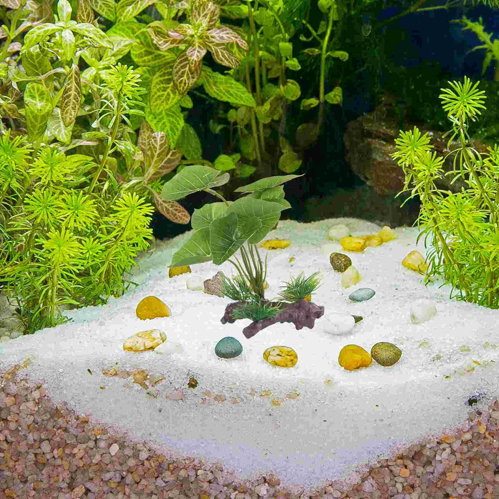 Fish Tank Artificial Water Pla – Terrarium Moss Art Bewertung und Preis