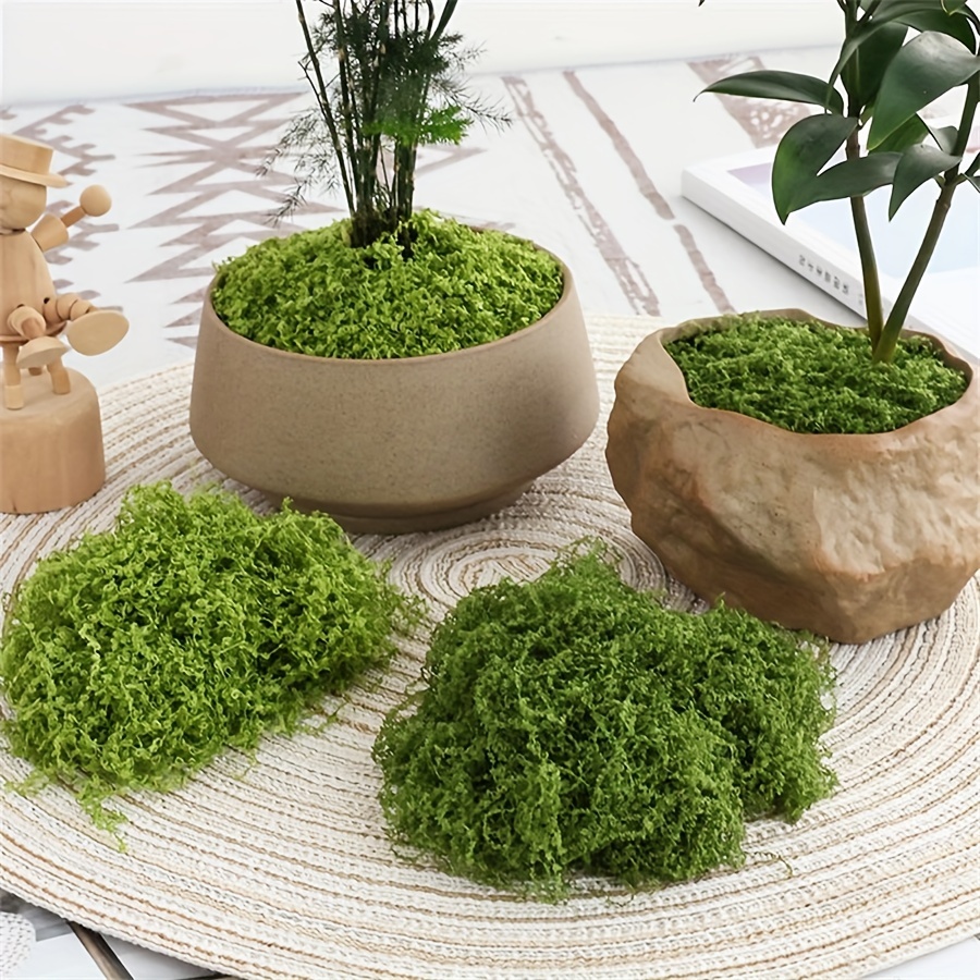 1pack Artificial Fake Moss, 1. – Terrarium Moss Art Bewertung und Preis