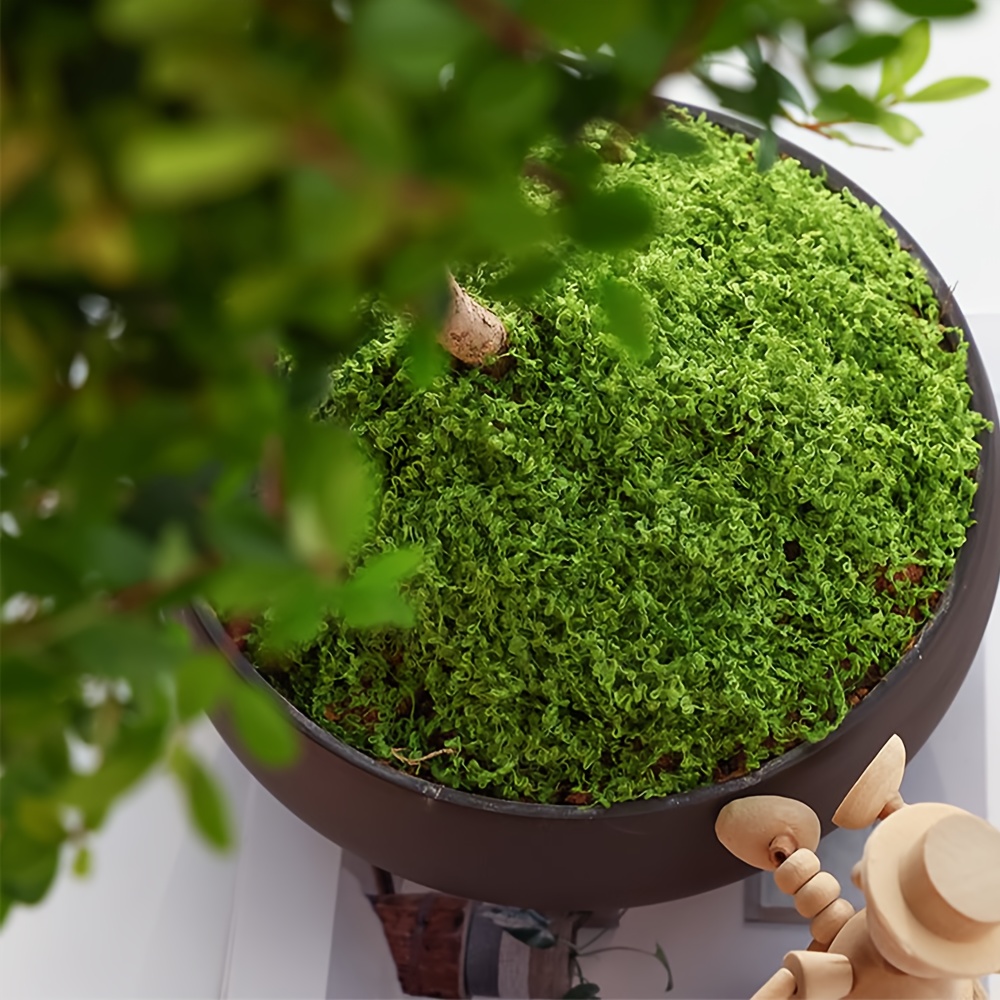 1pack Artificial Fake Moss, 1. – Terrarium Moss Art Bewertung und Preis