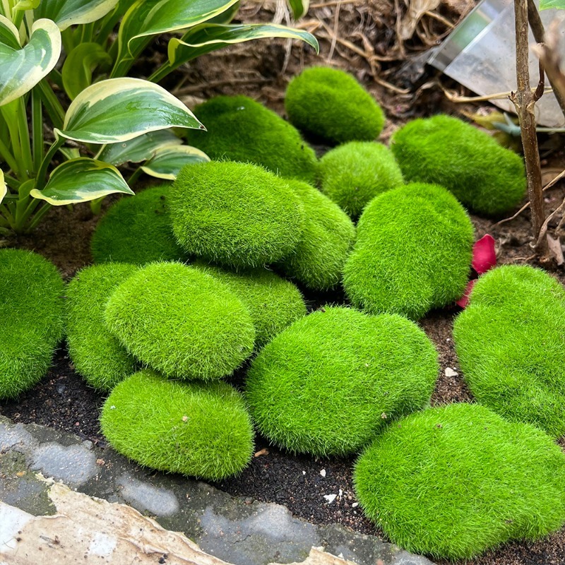 5/30pcs Simulation Moss Stone  – Terrarium Moss Art Bewertung und Preis