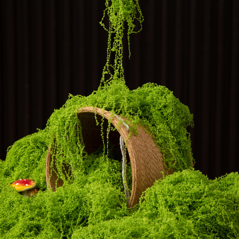 200g Eternal Life Moss DIY Cra – Terrarium Moss Art Bewertung und Preis