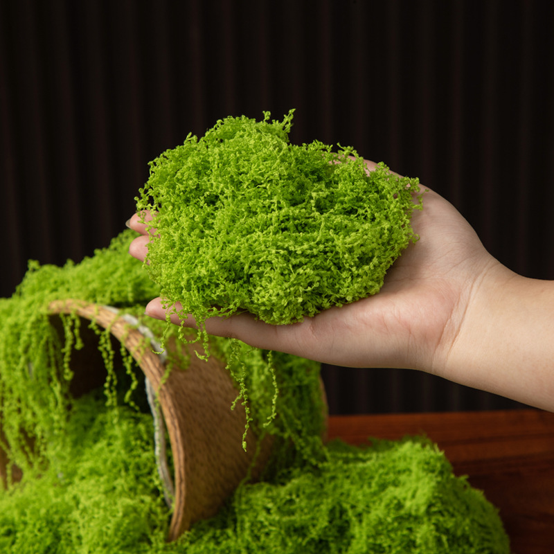 200g Eternal Life Moss DIY Cra – Terrarium Moss Art Bewertung und Preis