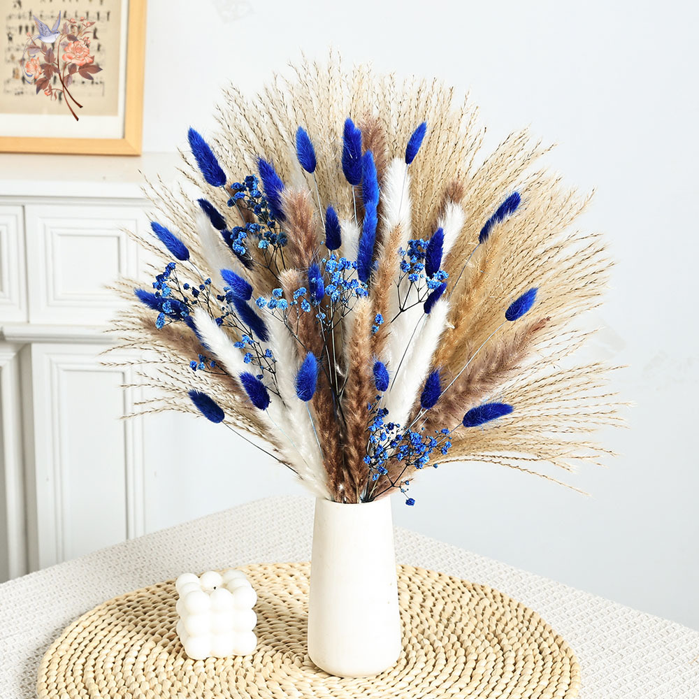 70 Stem Blue Fluffly Rabbit Ta – Dried Flower Bulk Bewertung und Preis
