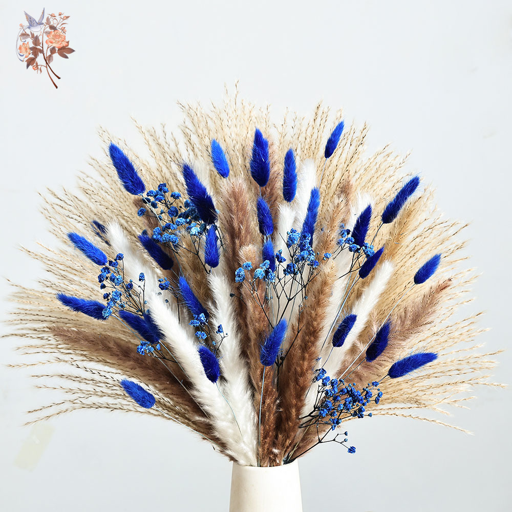 70 Stem Blue Fluffly Rabbit Ta – Dried Flower Bulk Bewertung und Preis