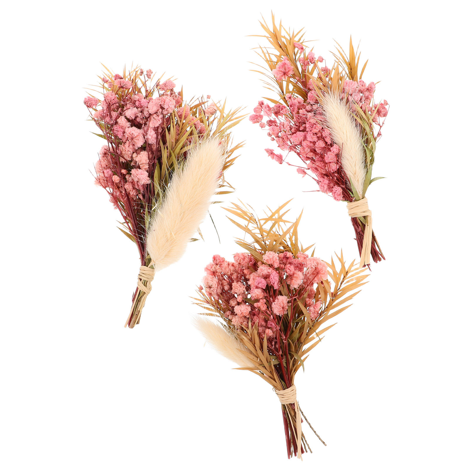 3Pcs Mini Dried Floral Bouquet – Dried Flower Bulk Bewertung und Preis