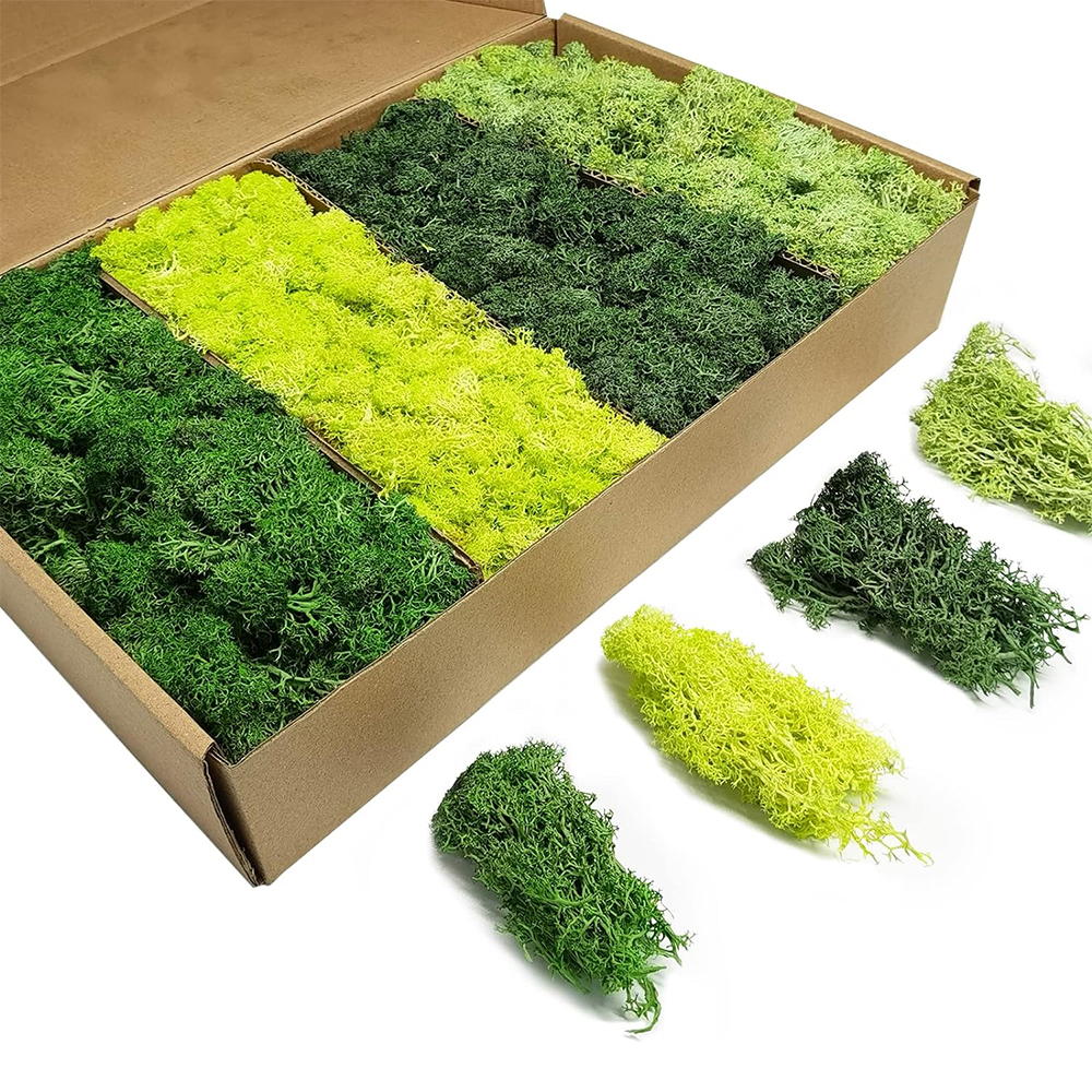 Artificial Green Plants Eterna – Terrarium Moss Art Bewertung und Preis