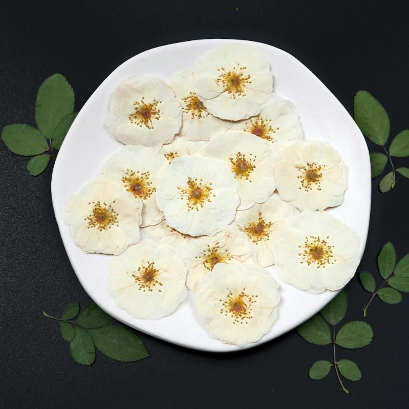 6pcs,9pcs,Nature White Rose Pr – Dried Flower Bulk Bewertung und Preis