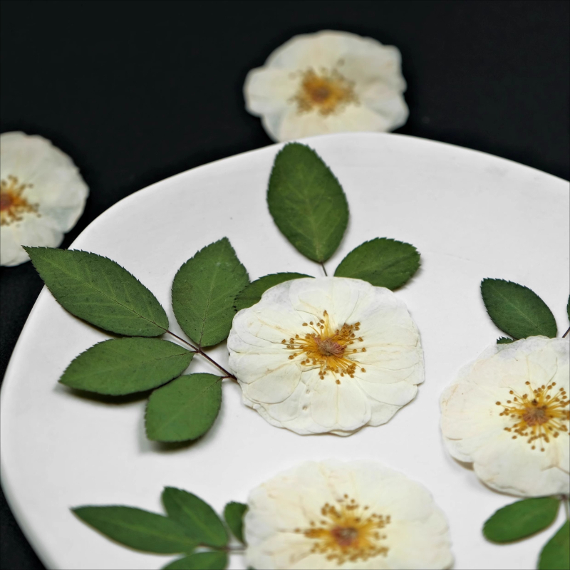 6pcs,9pcs,Nature White Rose Pr – Dried Flower Bulk Bewertung und Preis
