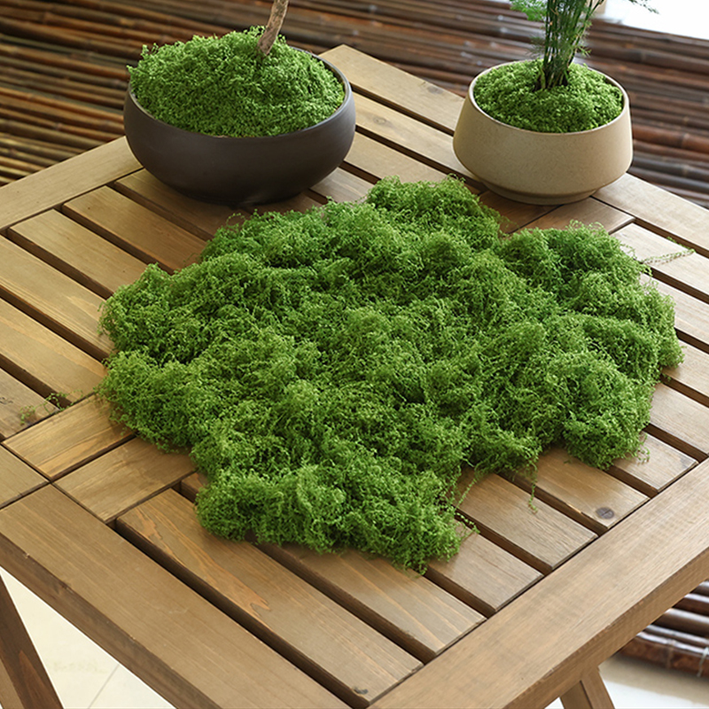 about 20g Artificial Green Pla – Terrarium Moss Art Bewertung und Preis