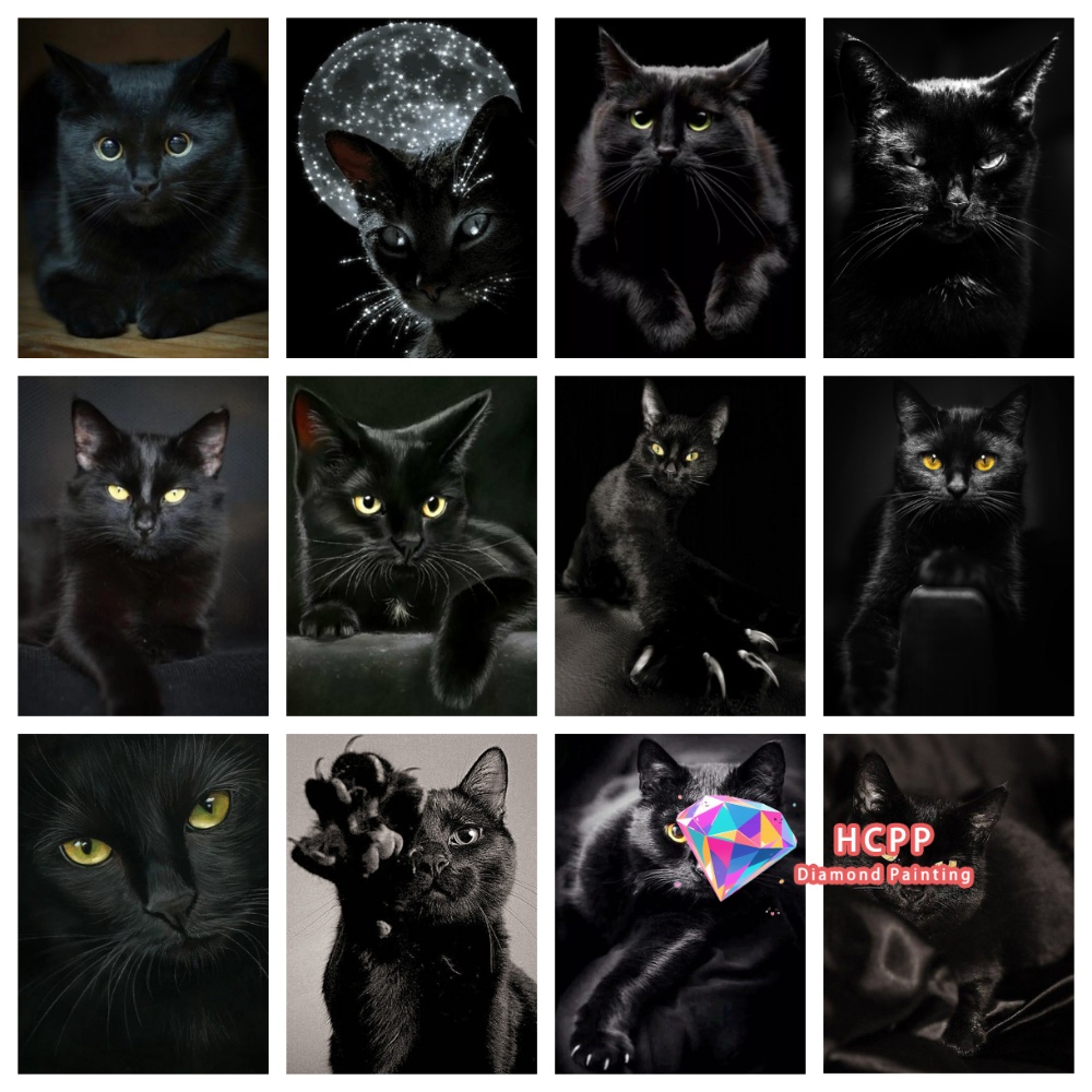 unframe Black Cat Animal Diamo – Resin Craft Kit Bewertung und Preis