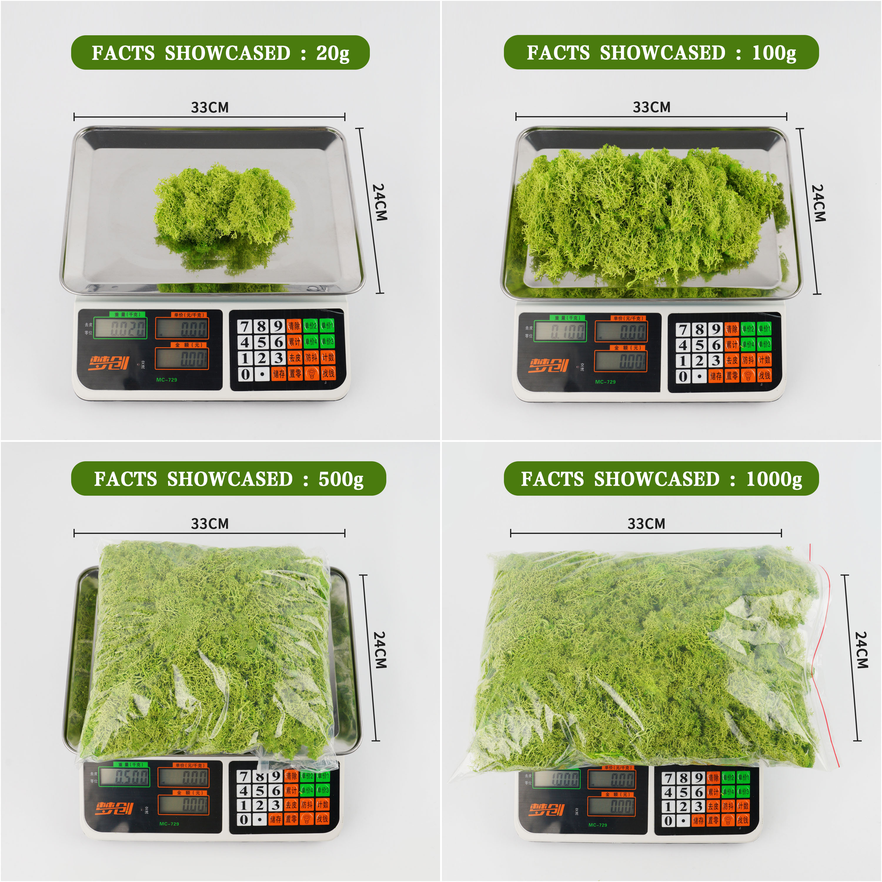 20/40/100g Eternal Life Moss D – Terrarium Moss Art Bewertung und Preis
