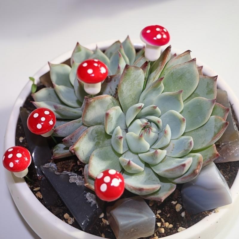 10-80PCS Mini Color Mushroom D – Terrarium Moss Art Bewertung und Preis