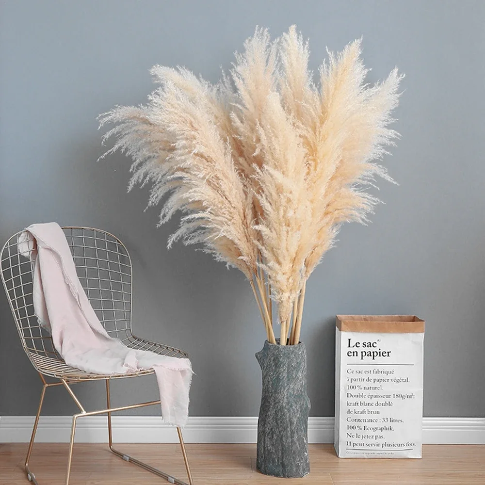 120cm - 130cm Fluffy Large Pam – Dried Flower Bulk Bewertung und Preis