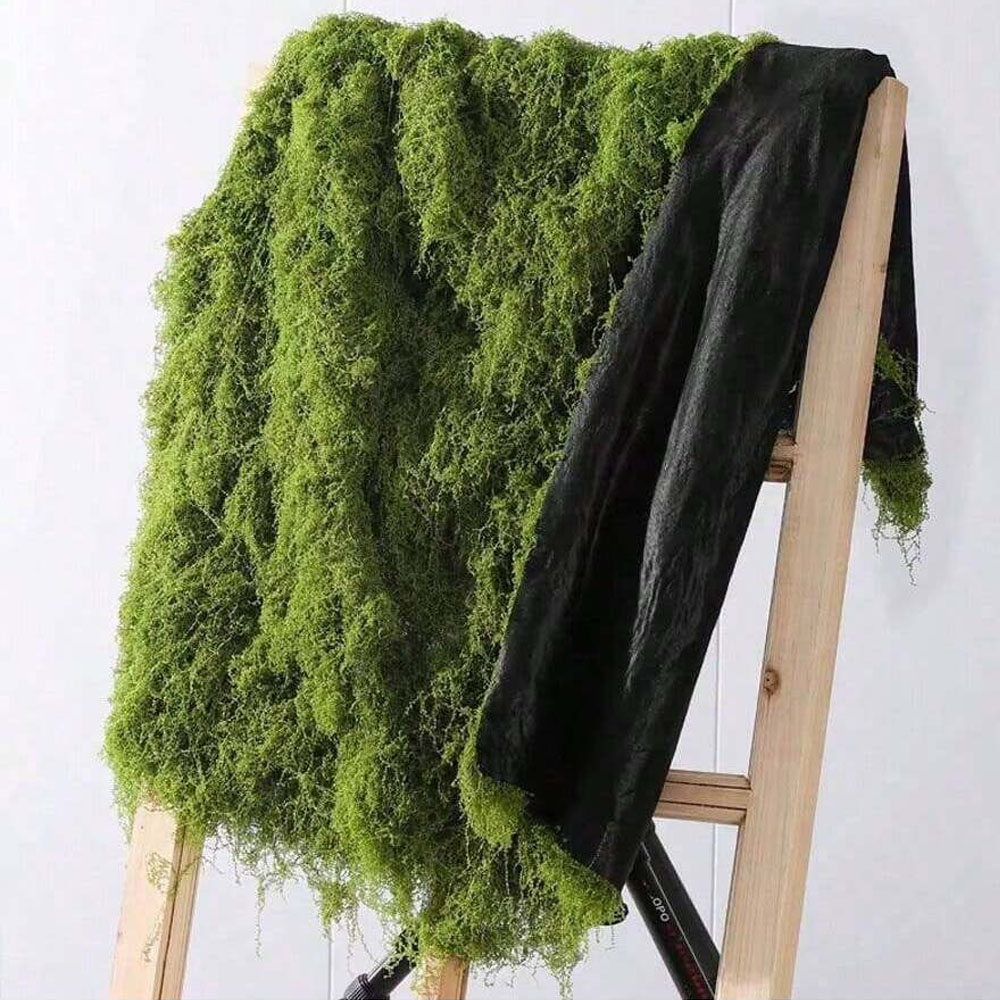1*1m Fake Moss DIY Crafts Gras – Terrarium Moss Art Bewertung und Preis