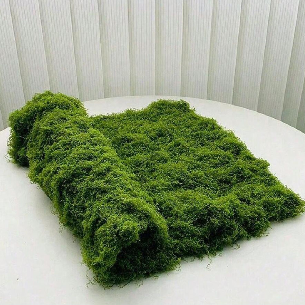 1*1m Fake Moss DIY Crafts Gras – Terrarium Moss Art Bewertung und Preis