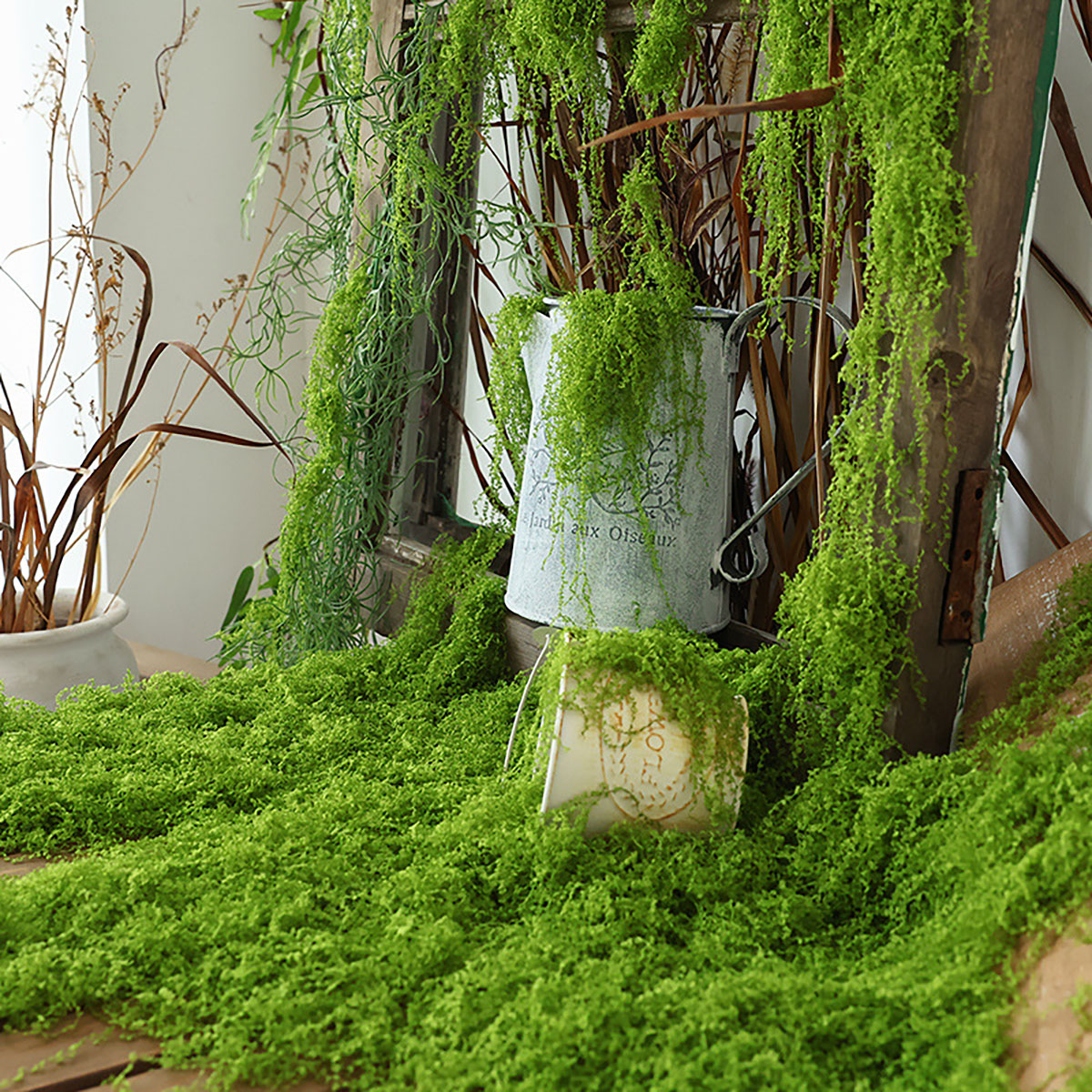 about 20g Artificial Green Pla – Terrarium Moss Art Bewertung und Preis