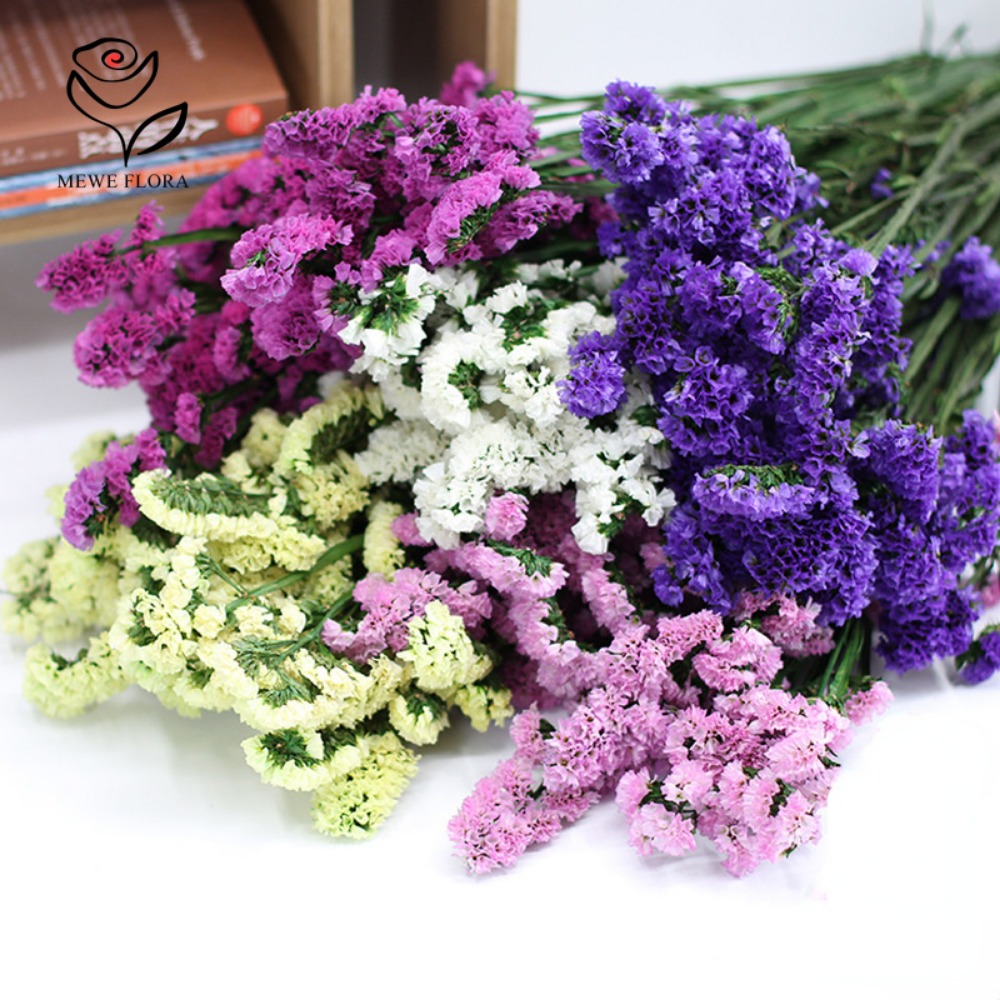 100g Dried Forget Me Not Flowe – Dried Flower Bulk Bewertung und Preis