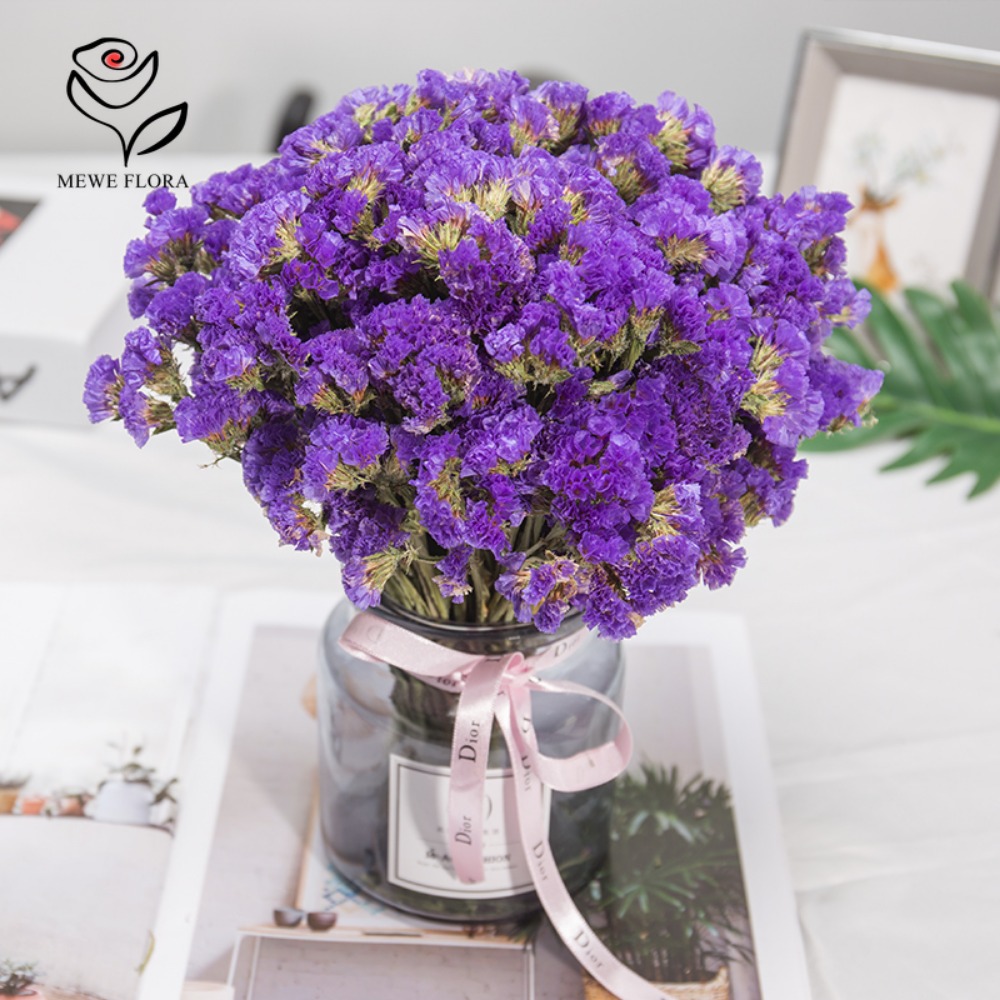 100g Dried Forget Me Not Flowe – Dried Flower Bulk Bewertung und Preis
