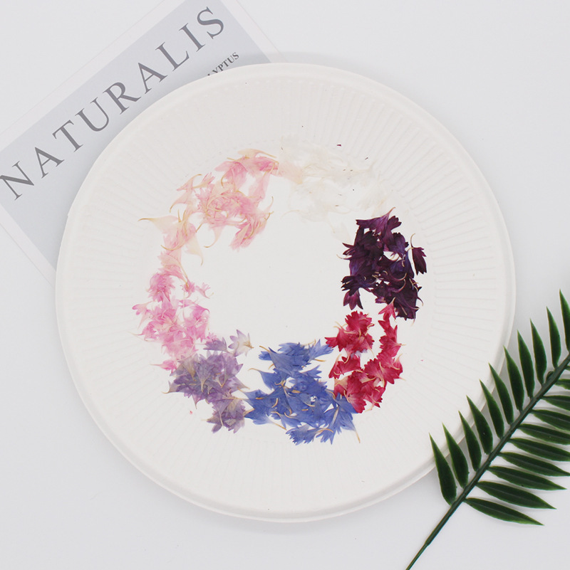 20 Plant Specimens, Cornflower – Resin Jewelry Kit Bewertung und Preis