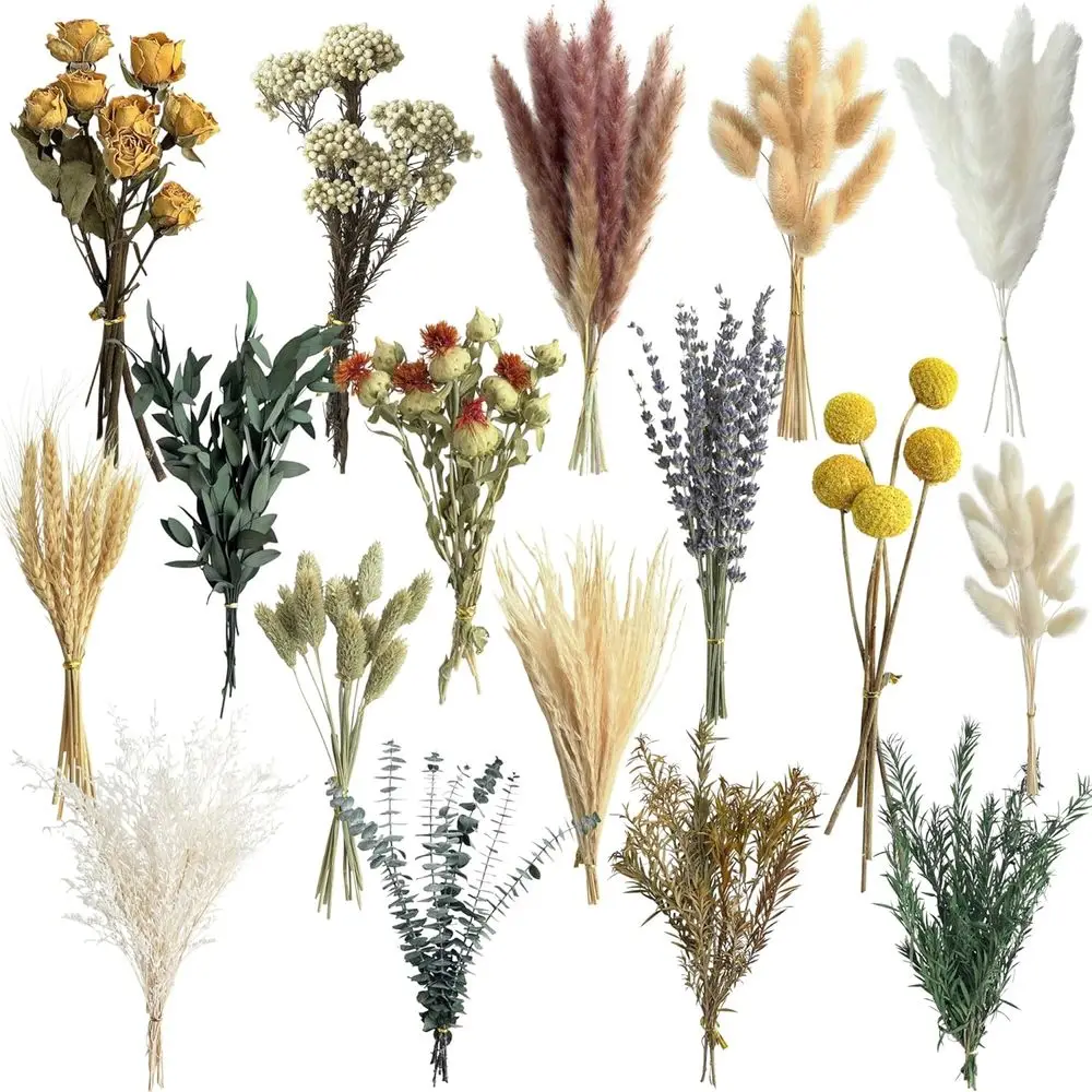 Natural Dried Flower Set, Mini – Dried Flower Bulk Bewertung und Preis