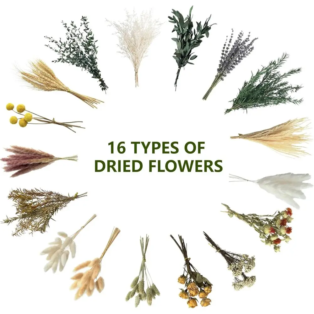 Natural Dried Flower Set, Mini – Dried Flower Bulk Bewertung und Preis