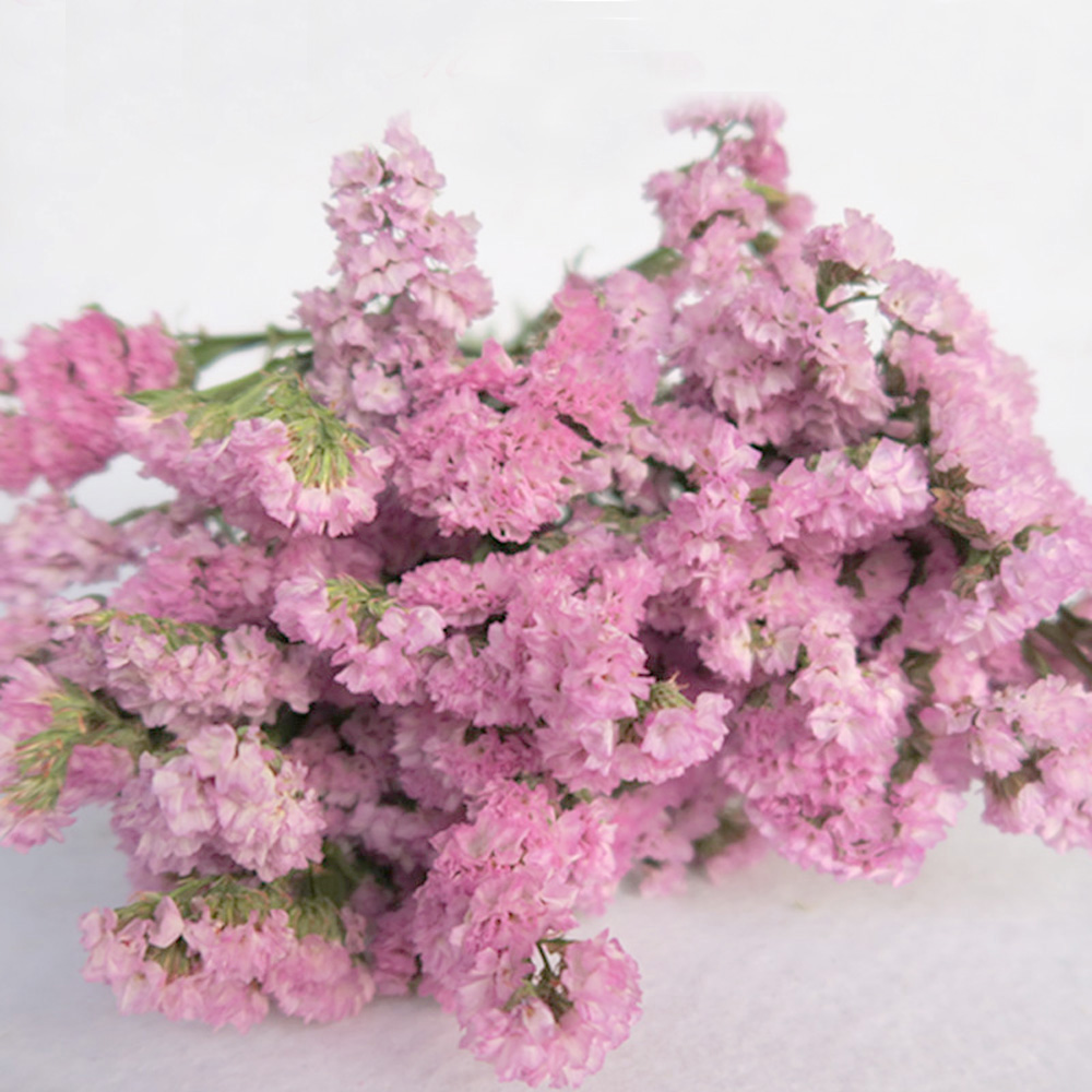Pink color dried natural flowe – Dried Flower Bulk Bewertung und Preis