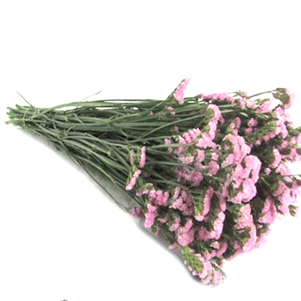 Pink color dried natural flowe – Dried Flower Bulk Bewertung und Preis