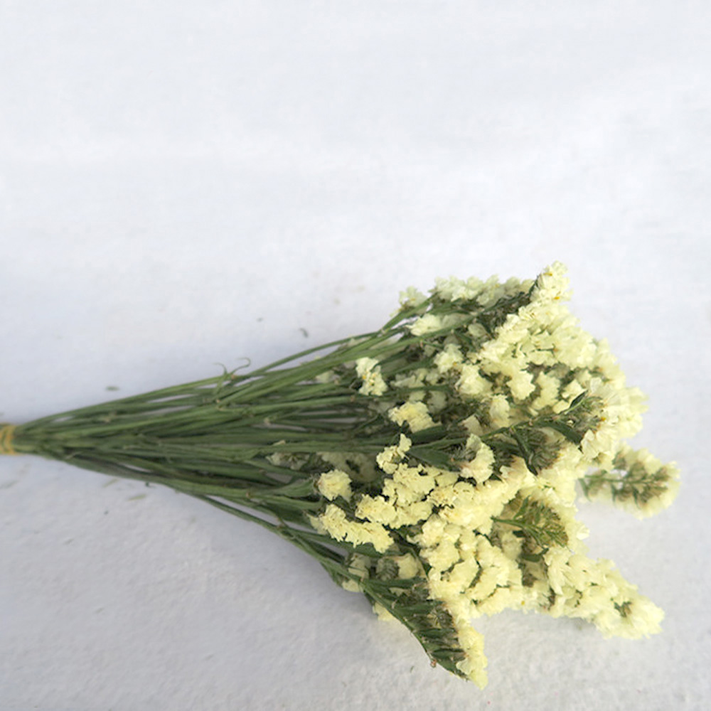 Pink color dried natural flowe – Dried Flower Bulk Bewertung und Preis