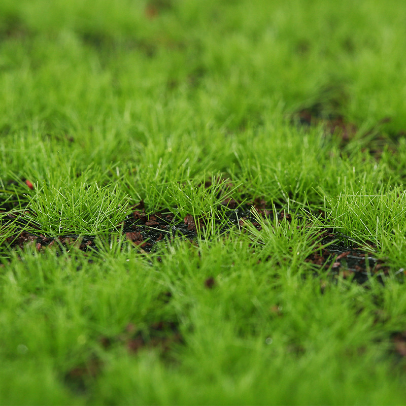 Artificial Moss Fake Green Mos – Terrarium Moss Art Bewertung und Preis