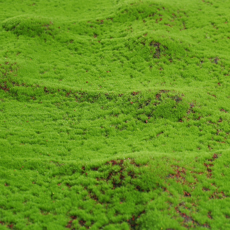 Artificial Moss Fake Green Mos – Terrarium Moss Art Bewertung und Preis