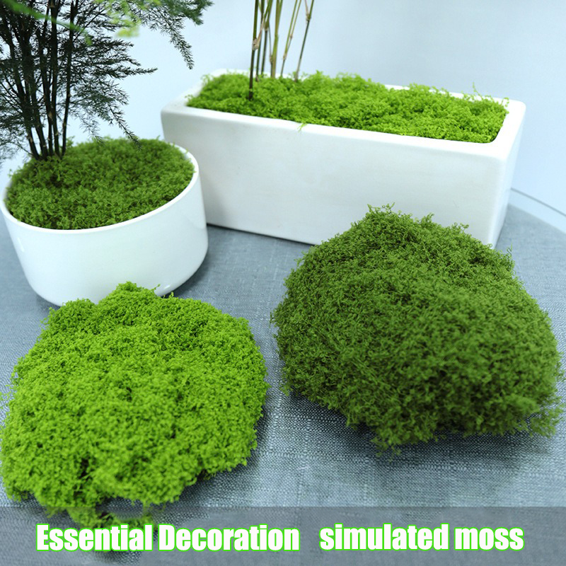 Artificial simulation of moss  – Terrarium Moss Art Bewertung und Preis