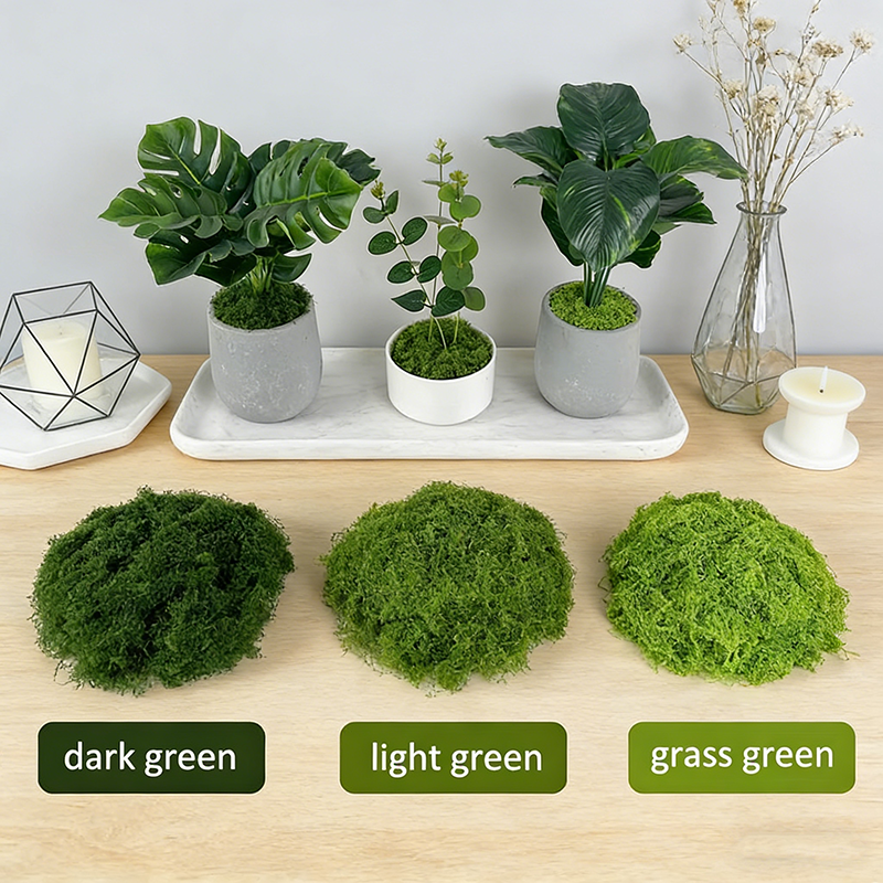 Artificial simulation of moss  – Terrarium Moss Art Bewertung und Preis
